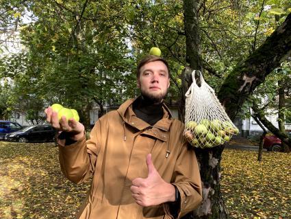 Москва. Корреспондент `Комсомольской правды ` Андрей Абрамов собирает яблоки во дворе жилого дома.