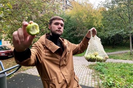 Москва. Корреспондент `Комсомольской правды ` Андрей Абрамов собирает яблоки во дворе жилого дома.