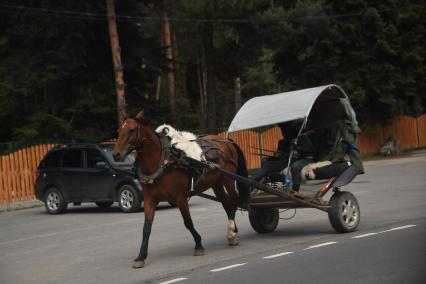 Минеральные Воды. Лошадь с повозкой на дороге.