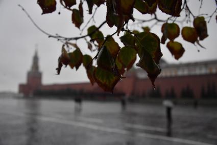 Москва.   Вид на Красную площадь во время дождя.