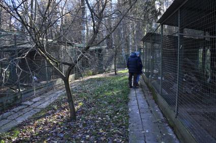 Московская область. На территории центра реабилитации диких животных.