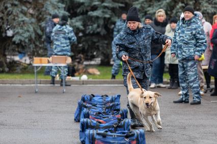 Красноярск. Празднование Дня народного единства на площади Революции. Демонстрация работы служебной собаки.