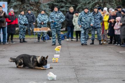 Красноярск. Празднование Дня народного единства на площади Революции. Демонстрация работы служебной собаки.