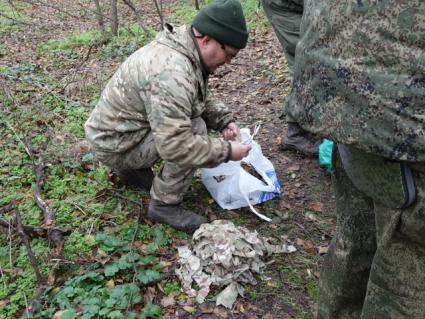 Донецкая область. Минометчики батальона `Восток` ДНР плетут маскировочные сети на позициях под Угледаром.