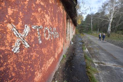 Балтийск. Заброшенный район старого немецкого аэродрома времен ВОВ на Балтийской косе.
