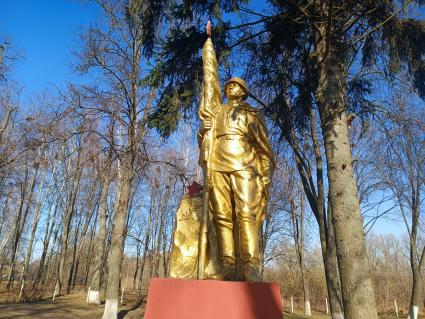 Гомельская область. п.Тереховка. Памятник солдату.