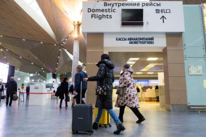 Санкт-Петербург. Пассажиры в аэропорту Пулково.