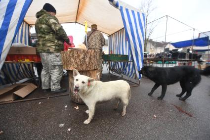 Новгородская  область. Чудово.  Корреспонденты  `Комсомольской правды` Владимир Ворсобин и Иван Макеев путешествуют автостопом по России. Продавцы на городском рынке.