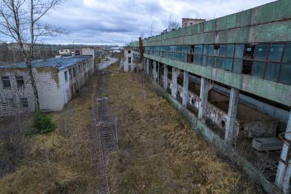 Ленинградская область. Пикалево. Корреспонденты  `Комсомольской правды` Владимир Ворсобин и Иван Макеев путешествуют автостопом по России. Вид   на БазэлЦемент-Пикалёво.