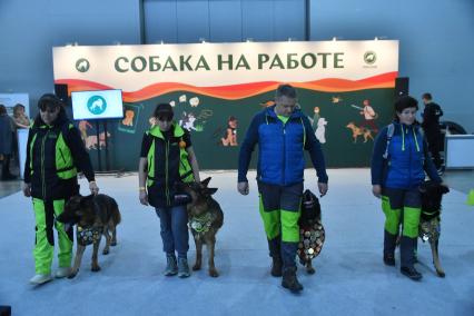 Московская область. Красногорск. Участники на выставке собак `Россия. Кубок РКФ 2020-2021` и `Россия. Кубок РКФ & Кубок Москвы-2022` в МВЦ `Крокус Экспо`.