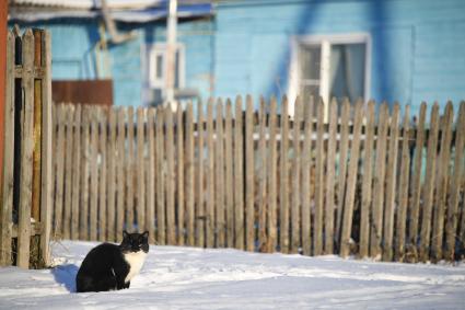 Новосибирская область. Неудачино. Корреспонденты `Комсомольской правды` Владимир Ворсобин и Иван Макеев путешествуют автостопом по России. Вид села.