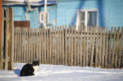 Новосибирская область. Неудачино. Корреспонденты `Комсомольской правды` Владимир Ворсобин и Иван Макеев путешествуют автостопом по России.  Вид села.