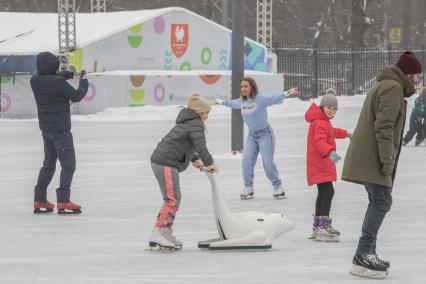 Москва. Посетители на катке в Измайловском парке.