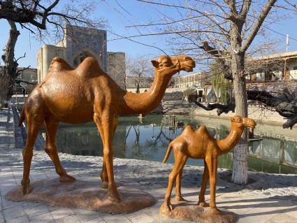 Республика Узбекистан. г. Бухара. Статуи верблюдов.