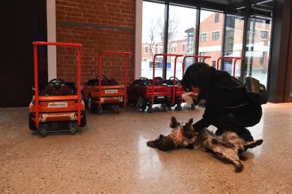 Москва. Девушка с собакой на территории dog-friendly нового пространства `Депо. Три вокзала`на Новорязанской улице.