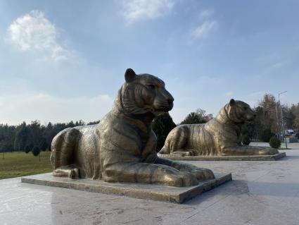 Республика Узбекистан. г. Самарканд. Памятник тиграм-стражникам.