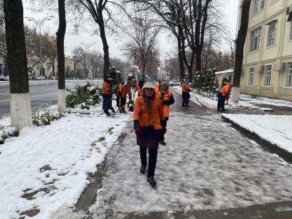 Республика Узбекистан. г. Ташкент. Дворники на одной из улиц города.