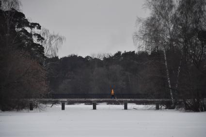 Москва. Горожане во время прогулки в парке Серебряный Бор.