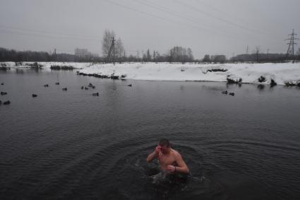 Московская область. г.Пушкино. Мужчина окунается в реке Уча во время крещенских купаний.