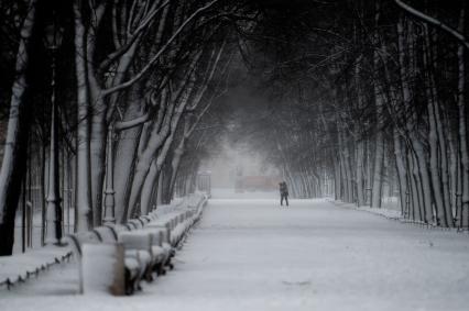 Санкт-Петербург. Деревья занесенные снегом в Летнем саду во время снежного шторма.