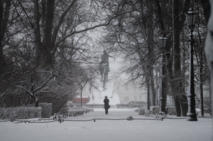 Санкт-Петербург. Деревья занесенные снегом во время снежного шторма.