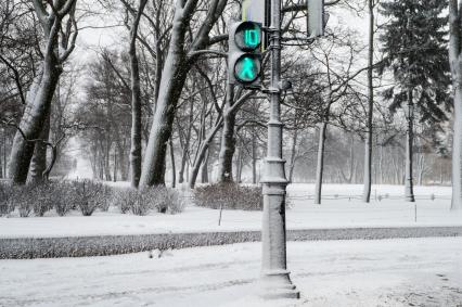 Санкт-Петербург. Деревья занесенные снегом во время снежного шторма.