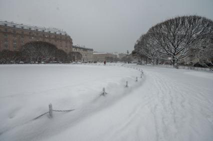 Санкт-Петербург. Деревья занесенные снегом во время снежного шторма.