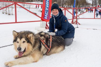 Московская область, г. Химки. Корреспондент `Комсомольской правды` Александра Будаева прокатилась на нартах в упряжке с хаски.