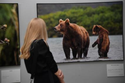 Москва. Посетительница на X Общероссийском фестивале природы `Первозданная Россия` в Новой Третьяковке.