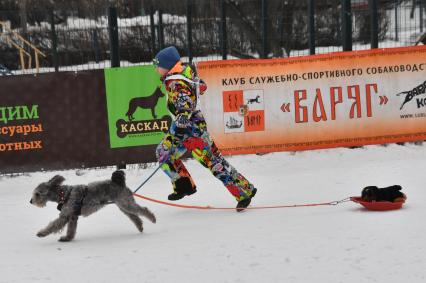 Москва. Мальчик с собакой породы пуми во время соревнования по скипуллингу на Косинской улице.