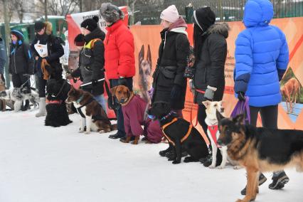 Москва. Участники после соревнования по скипуллингу на Косинской улице.