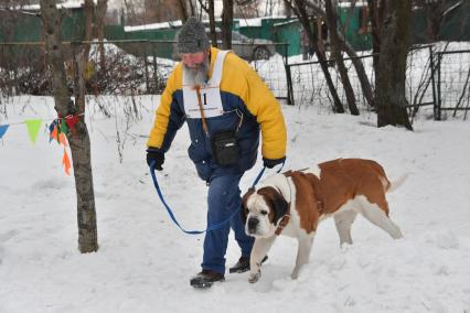 Москва. Мужчина с собакой породы сенбернар во время соревнования по скипуллингу на Косинской улице.