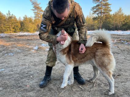 Харьковская область. Боец артиллерийского дивизиона 2 армейского корпуса играет с собакой.