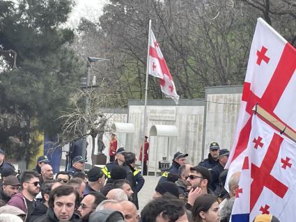 Грузия. г.Тбилиси. Шествие участников митинга за традиционные ценности.