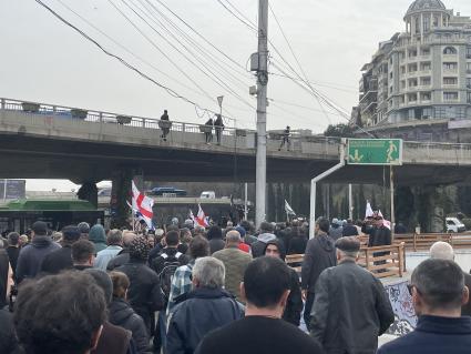 Грузия. г.Тбилиси. Шествие участников митинга за традиционные ценности.