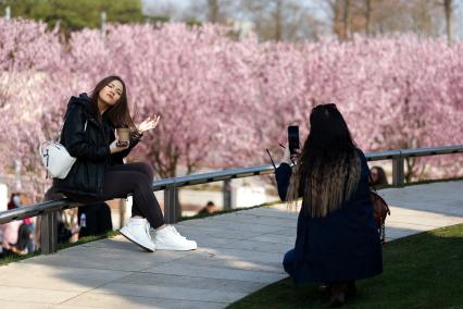 Краснодар.  Девушка фотографирует цветущую сливу  в ландшафтном  парке` Краснодар`.