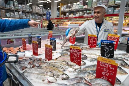 Санкт-Петербург. Охлажденная рыба на прилавке в супермаркете.