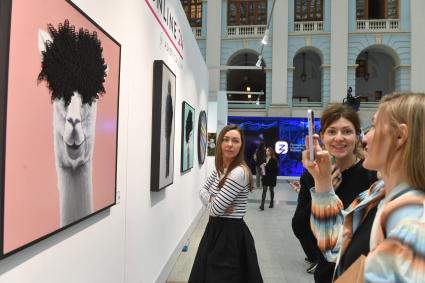 Москва. Посетители  на ярмарке современного искусства Art Russia Fair 2023 в выставочном центре `Гостиный двор`.