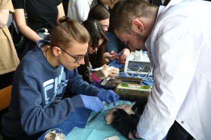 Москва. День открытых дверей в Российском национальном исследовательском медицинском университете им.Пирогова (РНИМУ). Студенты учатся накладывать хирургический шов.