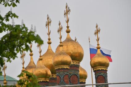 Москва. Купола Верхоспасского собора на территории Московского Кремля.