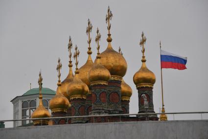 Москва. Купола Верхоспасского собора на территории Московского Кремля.