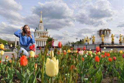 Москва. Девушка фотографирует на мобильный телефон тюльпаны рядом с павильоном #1 `Центральный` и фонтаном `Дружба народов` на ВДНХ.