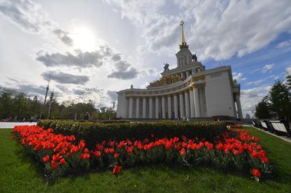 Москва. Тюльпаны рядом с павильоном #1 `Центральный` на ВДНХ.