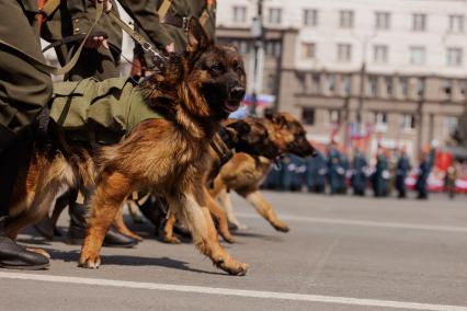 Челябинск. Во время парада, посвященного 78-й годовщине Победы в Великой Отечественной войне.