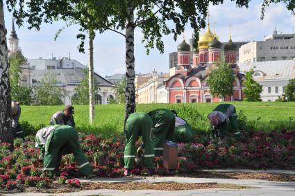 Москва. Работники коммунальных служб сажают цветы на клумбе в природно-ландшафтном парке `Зарядье`.