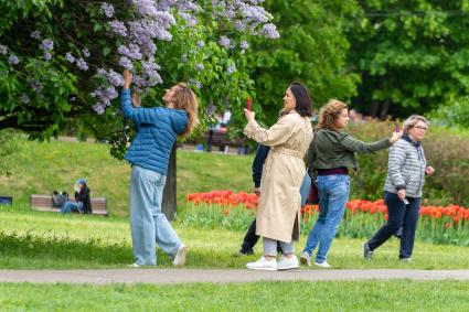 Москва. Девушки фотографируют цветущую сирень в музее-заповеднике `Коломенское`.