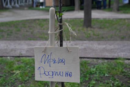 Москва.  Табличка  на саженце черешневого дереа, посаженного Ириной Родниной , в рамках фестиваля искусств `Черешневый лес` в парке `Динамо` у ВТБ Арены.