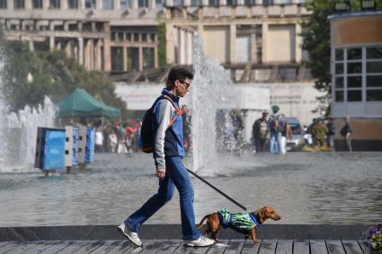 Москва. Горожане  в Парке Горького.