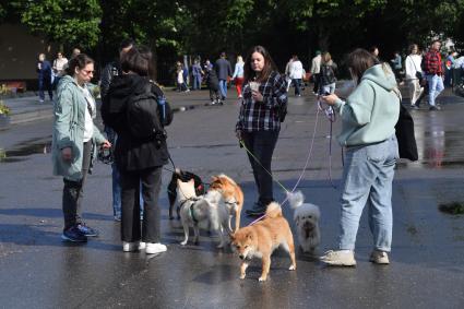 Москва. Горожане  в Парке Горького.