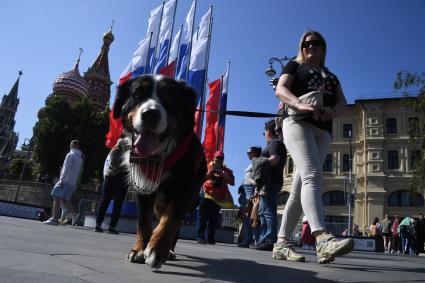 Москва. Прохожие в День празднования Дня России на улицах города.